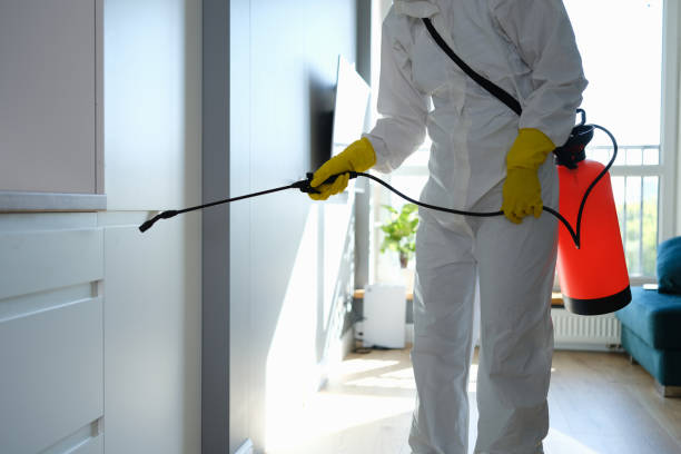 Certified Mold Removal in Jacobus, PA