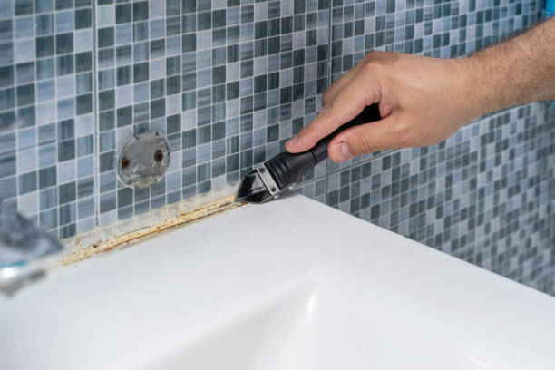 Best Emergency Mold Removal  in Jacobus, PA