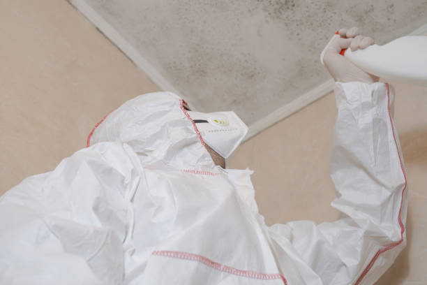 Best Certified Mold Removal  in Jacobus, PA