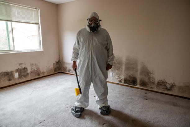 Best Residential Mold Removal  in Jacobus, PA